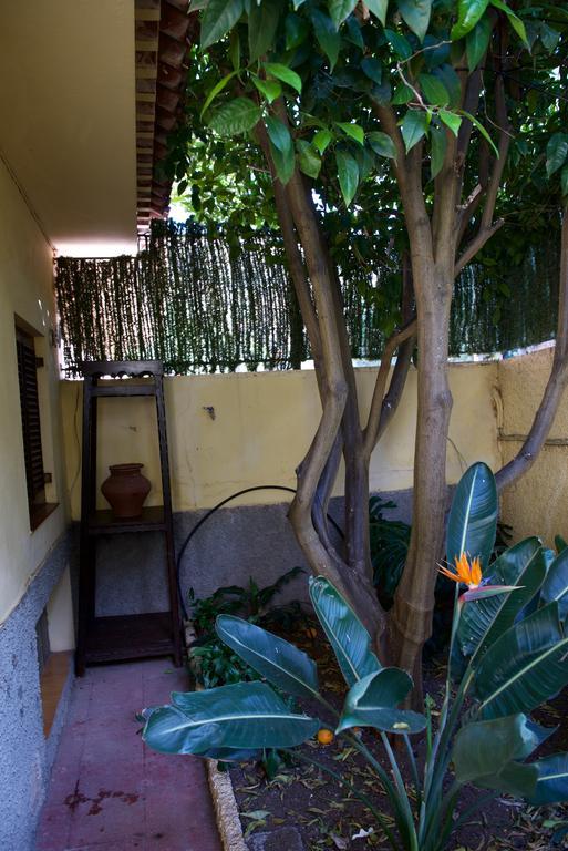 Casa Rural de Tío Félix Vega de San Mateo Exterior foto